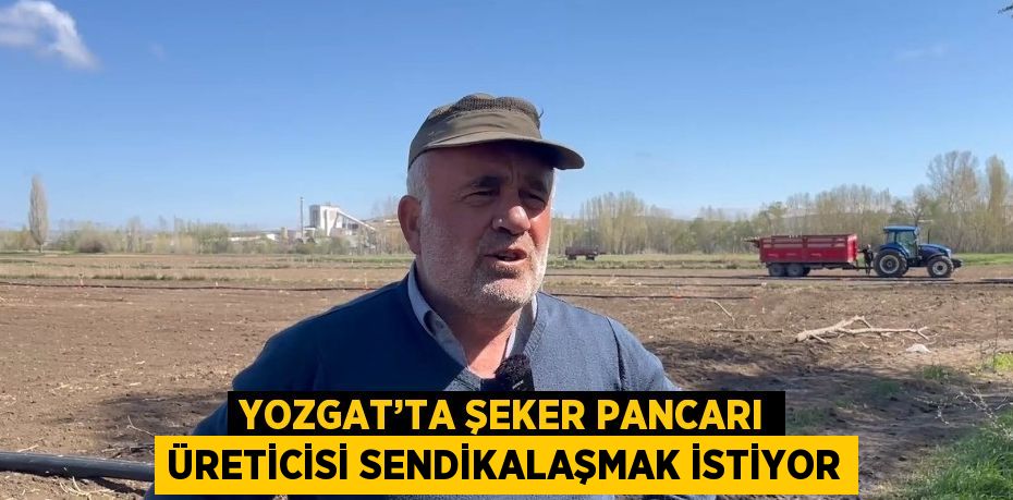 YOZGAT’TA ŞEKER PANCARI ÜRETİCİSİ SENDİKALAŞMAK İSTİYOR