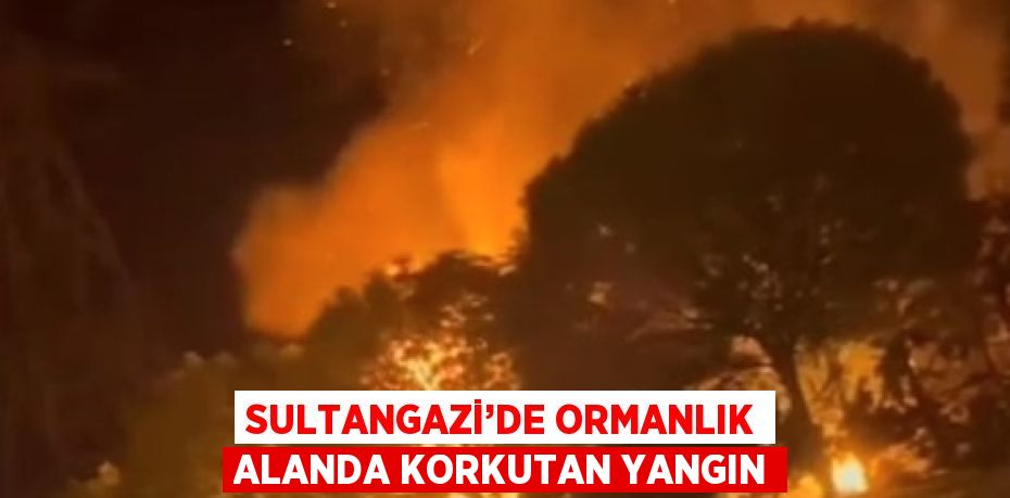 SULTANGAZİ’DE ORMANLIK ALANDA KORKUTAN YANGIN