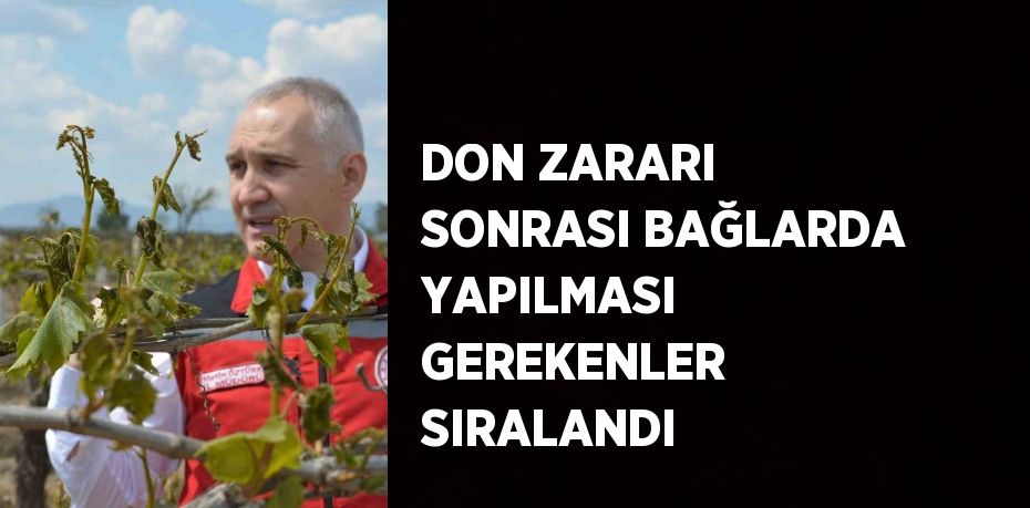 DON ZARARI SONRASI BAĞLARDA YAPILMASI GEREKENLER SIRALANDI