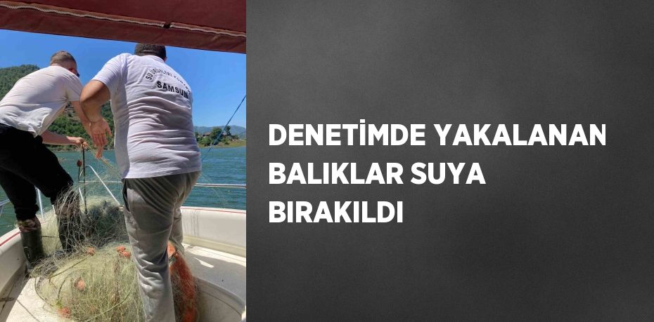 DENETİMDE YAKALANAN BALIKLAR SUYA BIRAKILDI