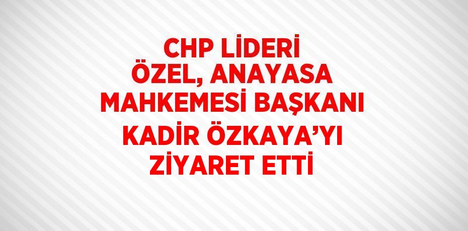 CHP LİDERİ ÖZEL, ANAYASA MAHKEMESİ BAŞKANI KADİR ÖZKAYA’YI ZİYARET ETTİ