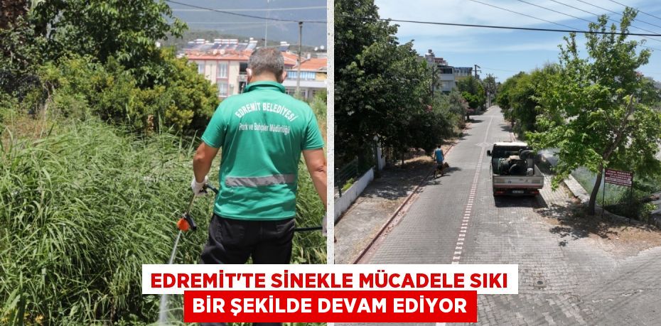 EDREMİT’TE SİNEKLE MÜCADELE SIKI BİR ŞEKİLDE DEVAM EDİYOR