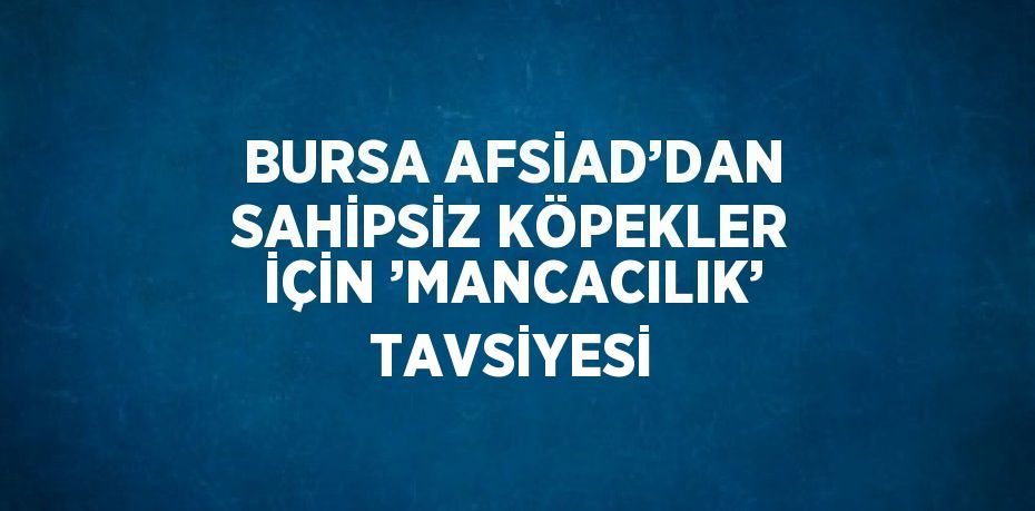 BURSA AFSİAD’DAN SAHİPSİZ KÖPEKLER İÇİN ’MANCACILIK’ TAVSİYESİ