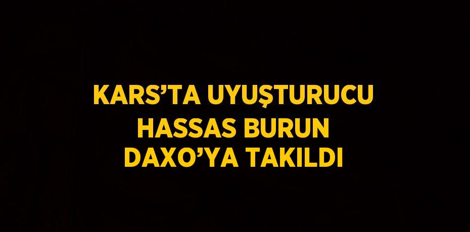 KARS’TA UYUŞTURUCU HASSAS BURUN DAXO’YA TAKILDI