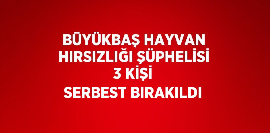 BÜYÜKBAŞ HAYVAN HIRSIZLIĞI ŞÜPHELİSİ 3 KİŞİ SERBEST BIRAKILDI