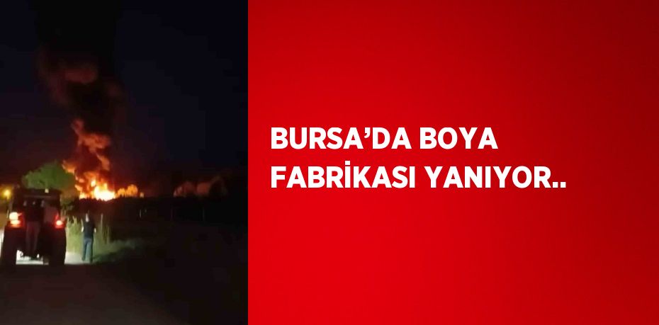 BURSA’DA BOYA FABRİKASI YANIYOR..