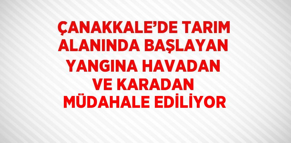 ÇANAKKALE’DE TARIM ALANINDA BAŞLAYAN YANGINA HAVADAN VE KARADAN MÜDAHALE EDİLİYOR