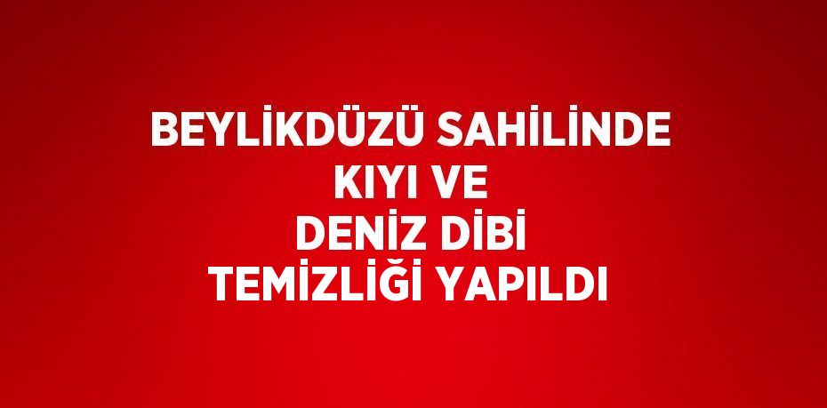 BEYLİKDÜZÜ SAHİLİNDE KIYI VE DENİZ DİBİ TEMİZLİĞİ YAPILDI