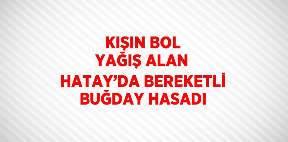 KIŞIN BOL YAĞIŞ ALAN HATAY’DA BEREKETLİ BUĞDAY HASADI