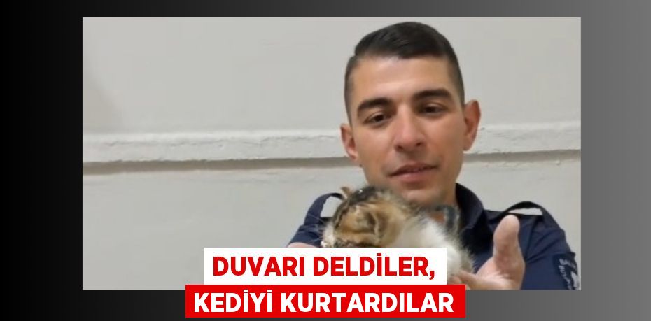 DUVARI DELDİLER, KEDİYİ KURTARDILAR