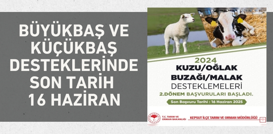 BÜYÜKBAŞ VE KÜÇÜKBAŞ DESTEKLERİNDE SON TARİH 16 HAZİRAN