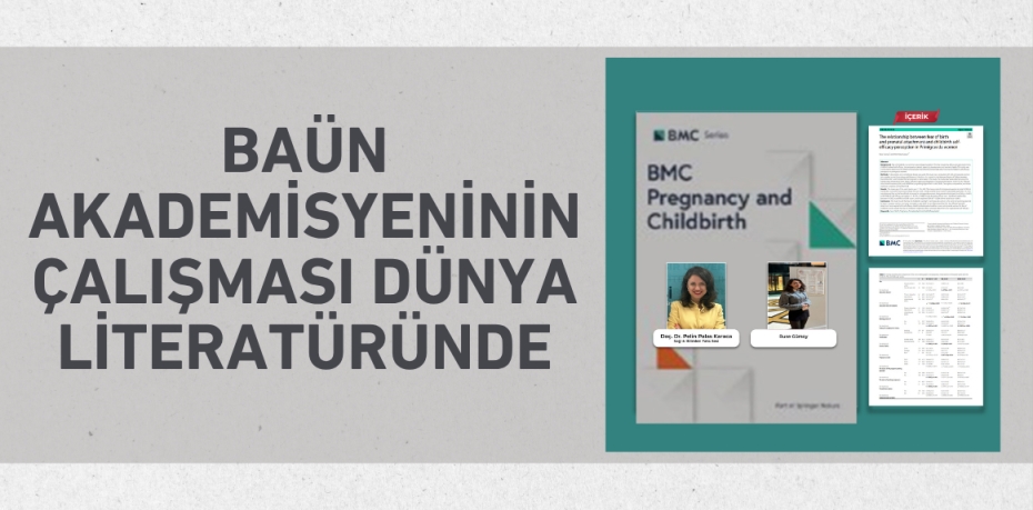 BAÜN AKADEMİSYENİNİN ÇALIŞMASI DÜNYA LİTERATÜRÜNDE