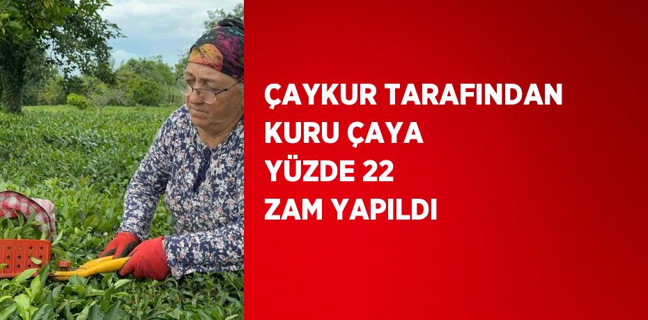 ÇAYKUR TARAFINDAN KURU ÇAYA YÜZDE 22 ZAM YAPILDI