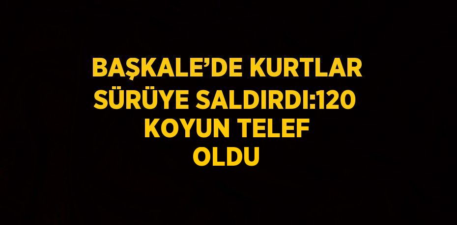 BAŞKALE’DE KURTLAR SÜRÜYE SALDIRDI:120 KOYUN TELEF OLDU