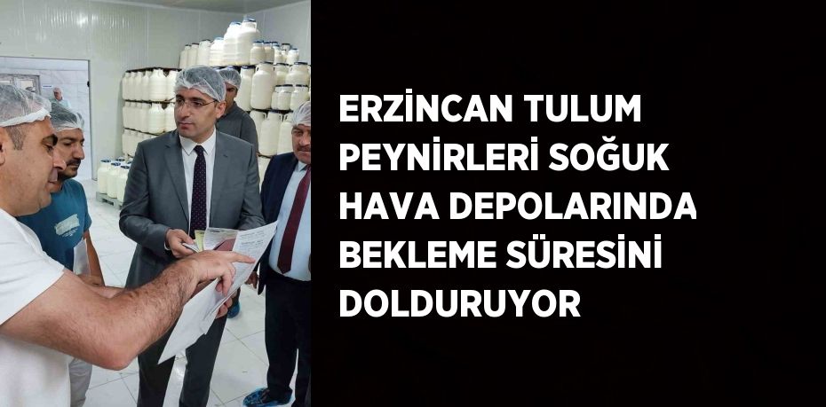 ERZİNCAN TULUM PEYNİRLERİ SOĞUK HAVA DEPOLARINDA BEKLEME SÜRESİNİ DOLDURUYOR