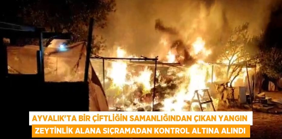 AYVALIK’TA BİR ÇİFTLİĞİN SAMANLIĞINDAN ÇIKAN YANGIN ZEYTİNLİK ALANA SIÇRAMADAN KONTROL ALTINA ALINDI