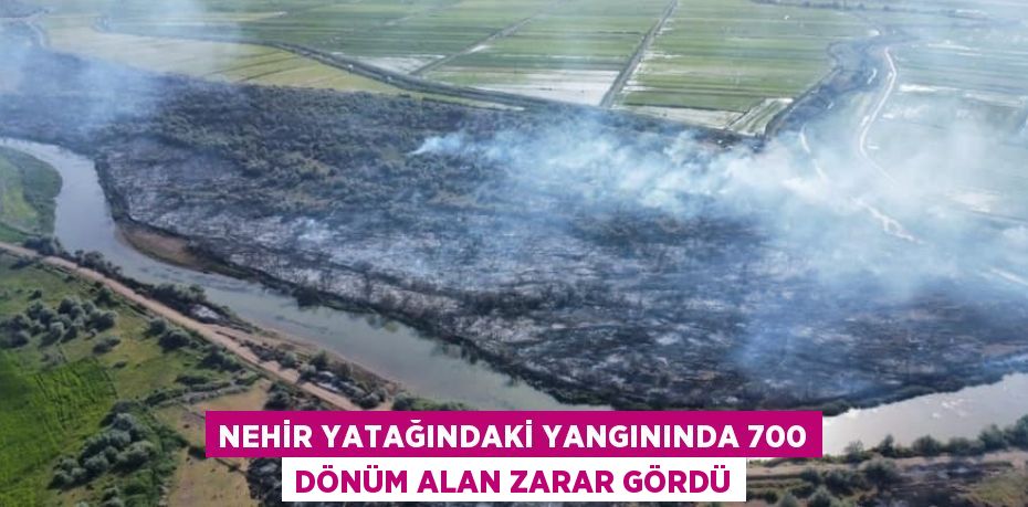 NEHİR YATAĞINDAKİ YANGININDA 700 DÖNÜM ALAN ZARAR GÖRDÜ