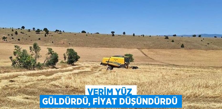 VERİM YÜZ GÜLDÜRDÜ, FİYAT DÜŞÜNDÜRDÜ