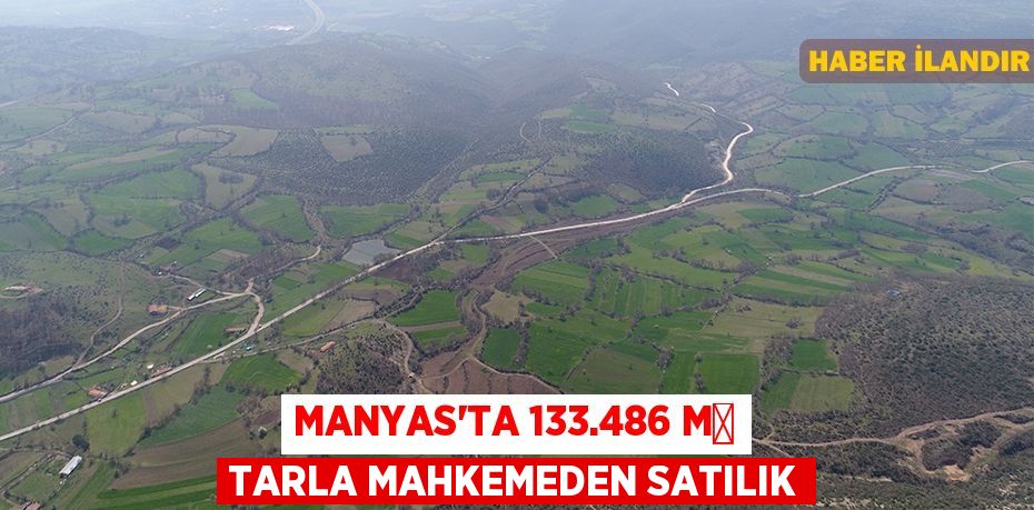 Manyas'ta 133.486 m² tarla mahkemeden satılık