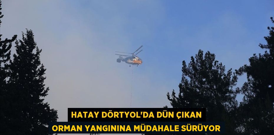 HATAY DÖRTYOL'DA DÜN ÇIKAN ORMAN YANGININA MÜDAHALE SÜRÜYOR