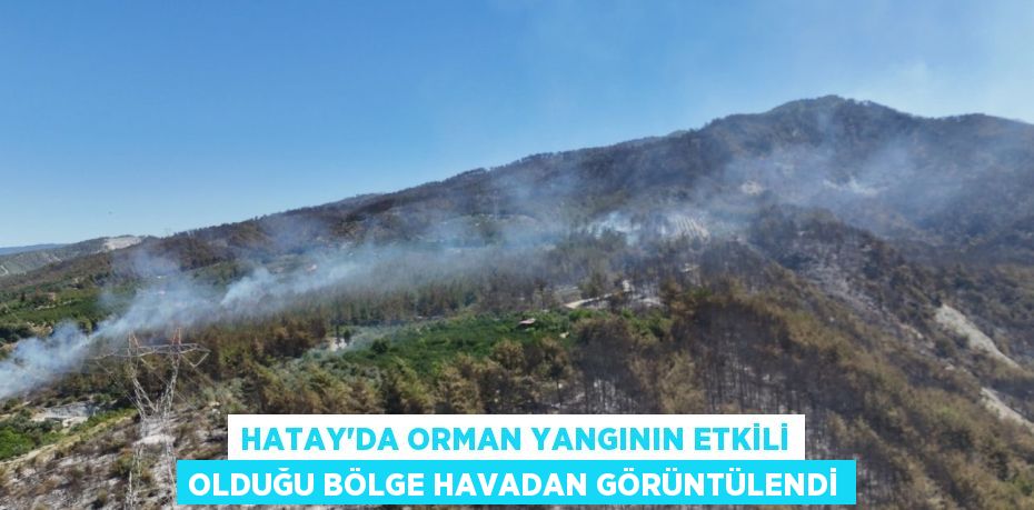 HATAY'DA ORMAN YANGININ ETKİLİ OLDUĞU BÖLGE HAVADAN GÖRÜNTÜLENDİ