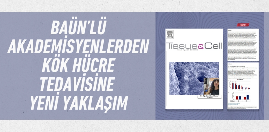 BAÜN’LÜ AKADEMİSYENLERDEN KÖK HÜCRE TEDAVİSİNE YENİ YAKLAŞIM