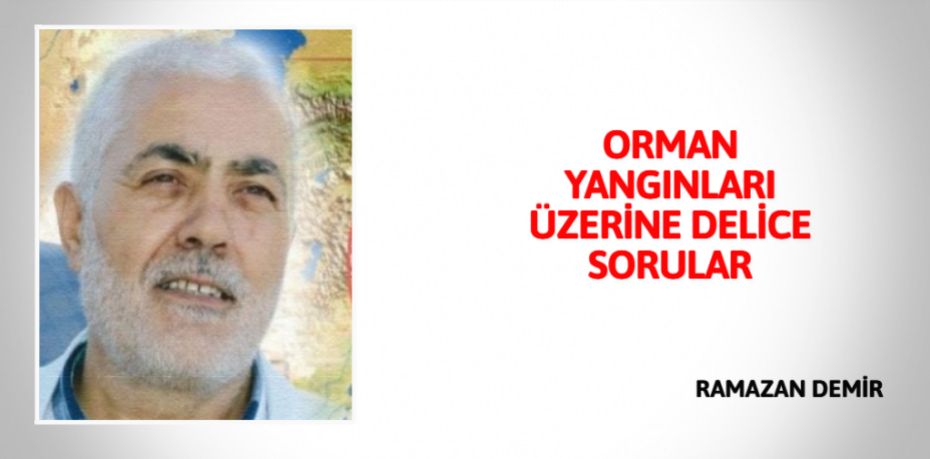 ORMAN YANGINLARI  ÜZERİNE DELİCE SORULAR