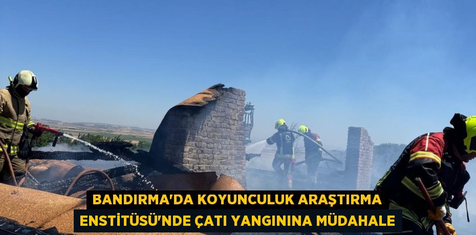 BANDIRMA’DA KOYUNCULUK ARAŞTIRMA ENSTİTÜSÜ’NDE ÇATI YANGININA MÜDAHALE