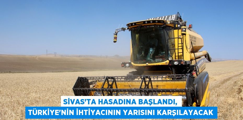 Sivas’ta hasadına başlandı, Türkiye’nin ihtiyacının yarısını karşılayacak