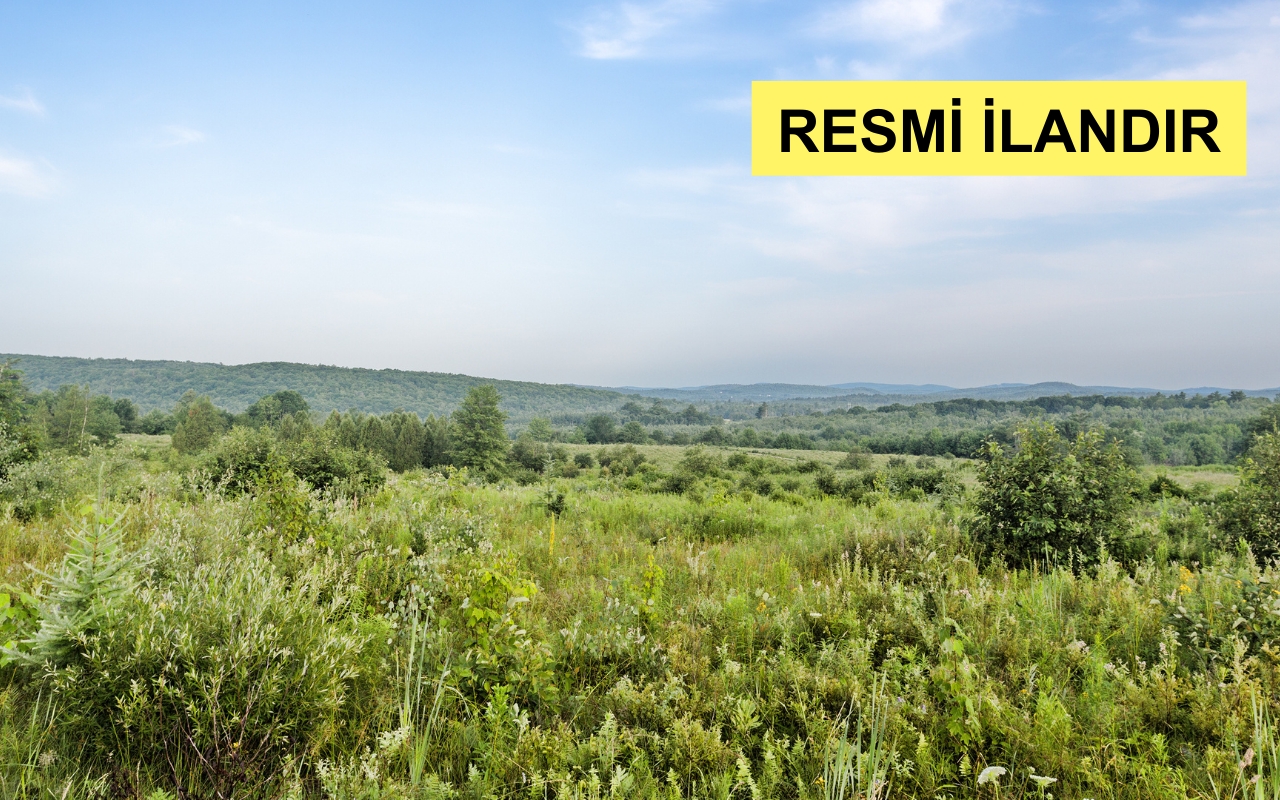 KARESİ EMLAK MÜDÜRLÜĞÜ'NDEN KULLANMA İZNİ VERİLECEK TAŞINMAZ İLANI