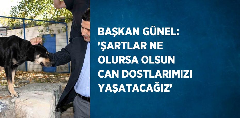 BAŞKAN GÜNEL: 'ŞARTLAR NE OLURSA OLSUN CAN DOSTLARIMIZI YAŞATACAĞIZ'