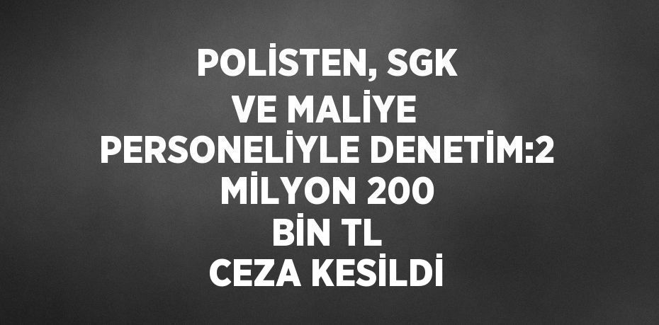 POLİSTEN, SGK VE MALİYE PERSONELİYLE DENETİM:2 MİLYON 200 BİN TL CEZA KESİLDİ