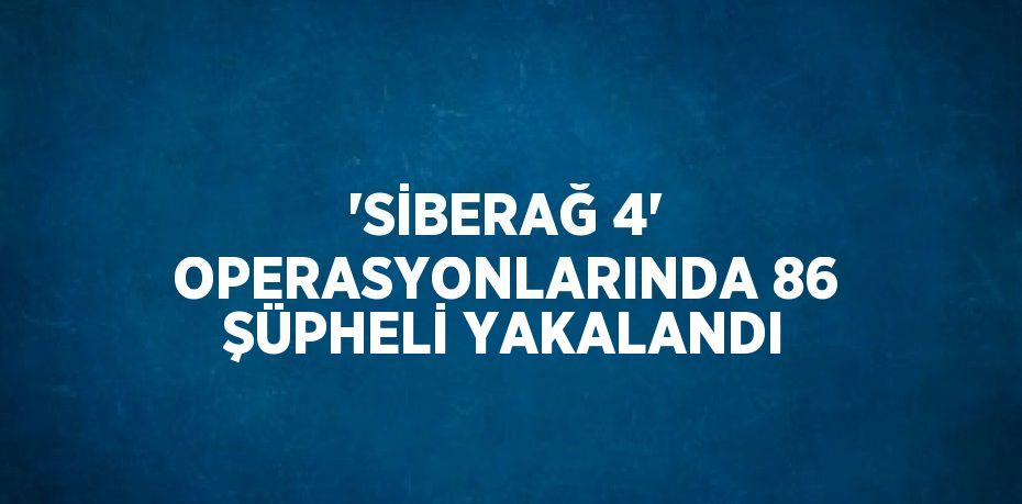 'SİBERAĞ 4' OPERASYONLARINDA 86 ŞÜPHELİ YAKALANDI