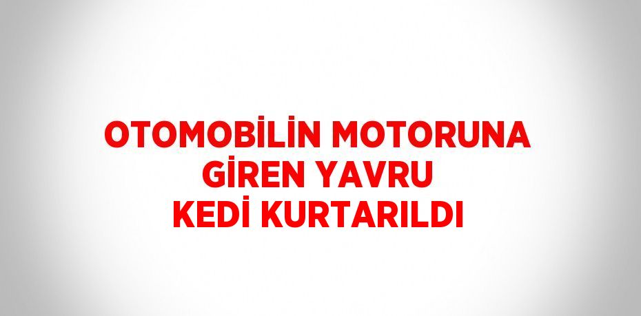 OTOMOBİLİN MOTORUNA GİREN YAVRU KEDİ KURTARILDI