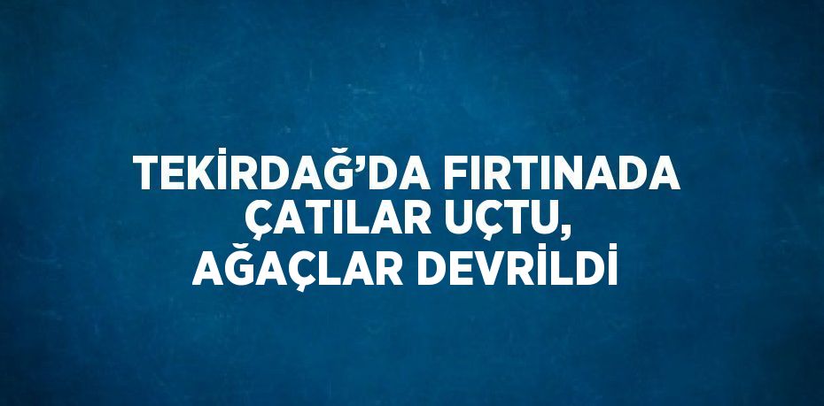 TEKİRDAĞ’DA FIRTINADA ÇATILAR UÇTU, AĞAÇLAR DEVRİLDİ