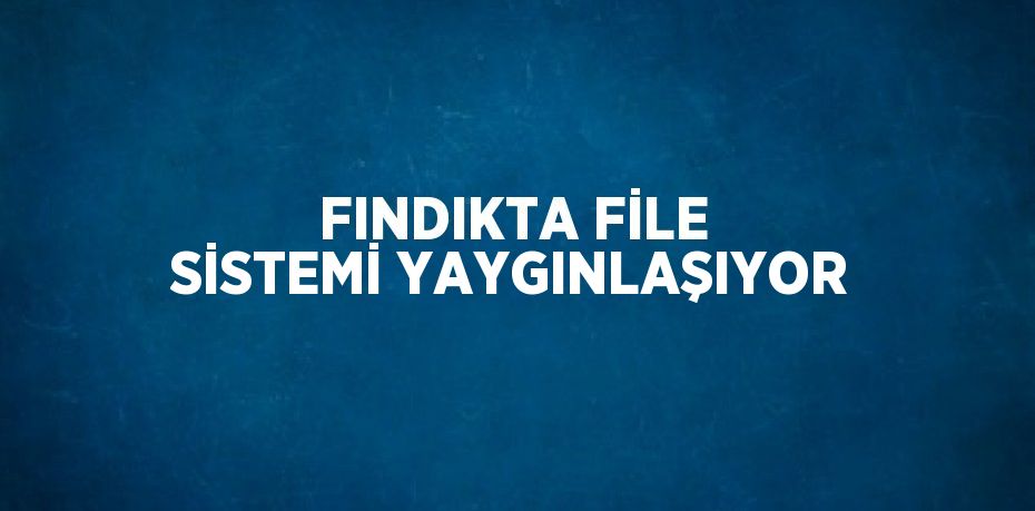 FINDIKTA FİLE SİSTEMİ YAYGINLAŞIYOR