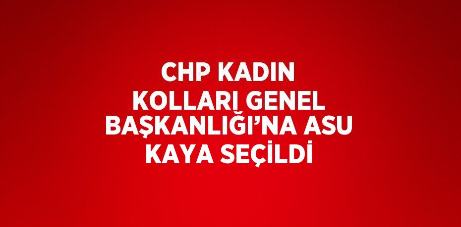 CHP KADIN KOLLARI GENEL BAŞKANLIĞI’NA ASU KAYA SEÇİLDİ