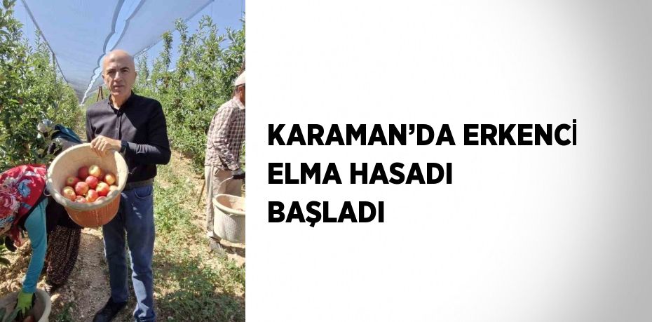 KARAMAN’DA ERKENCİ ELMA HASADI BAŞLADI