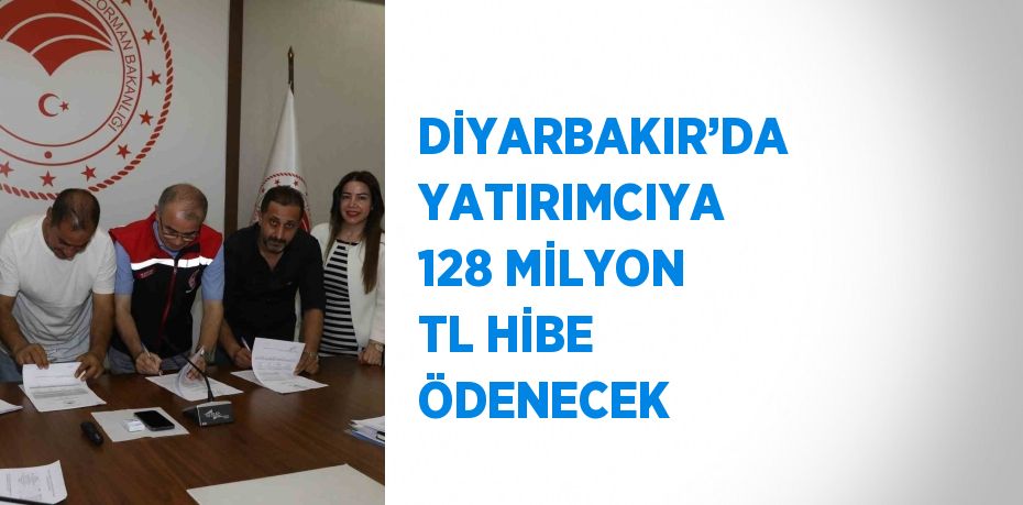 DİYARBAKIR’DA YATIRIMCIYA 128 MİLYON TL HİBE ÖDENECEK