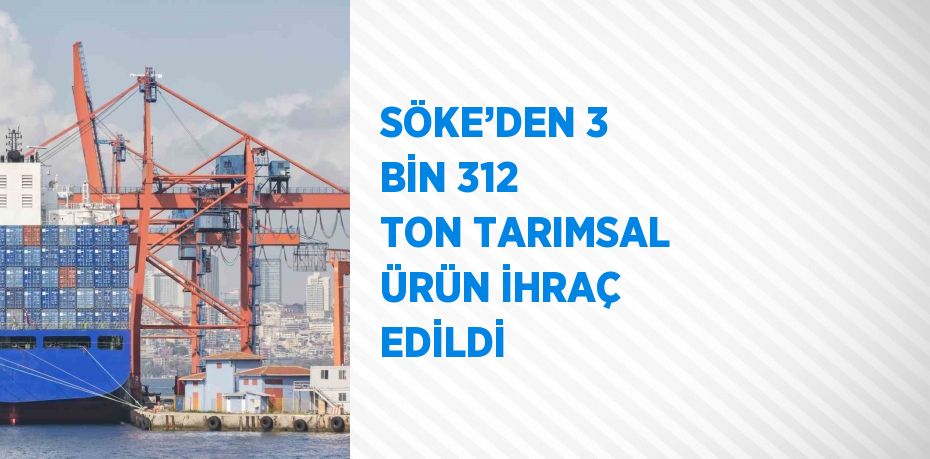 SÖKE’DEN 3 BİN 312 TON TARIMSAL ÜRÜN İHRAÇ EDİLDİ