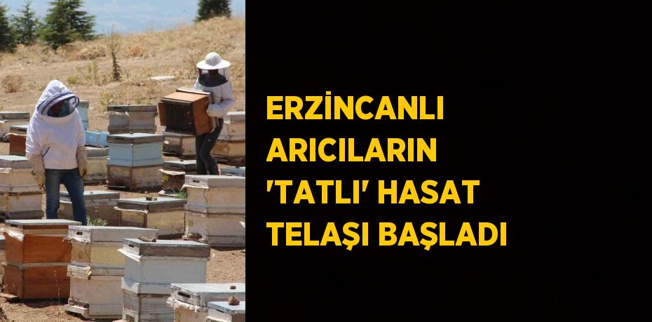 ERZİNCANLI ARICILARIN 'TATLI' HASAT TELAŞI BAŞLADI