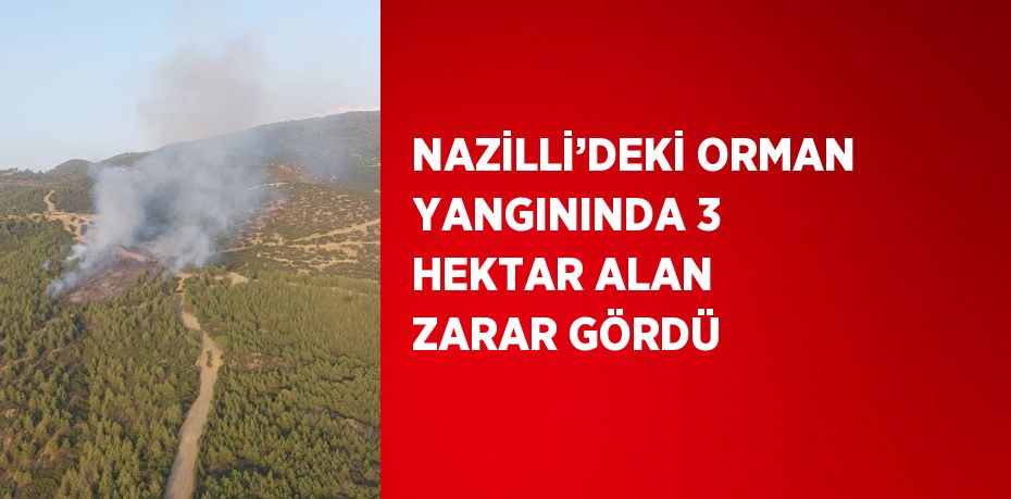 NAZİLLİ’DEKİ ORMAN YANGININDA 3 HEKTAR ALAN ZARAR GÖRDÜ