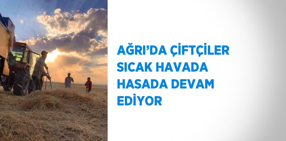 AĞRI’DA ÇİFTÇİLER SICAK HAVADA HASADA DEVAM EDİYOR