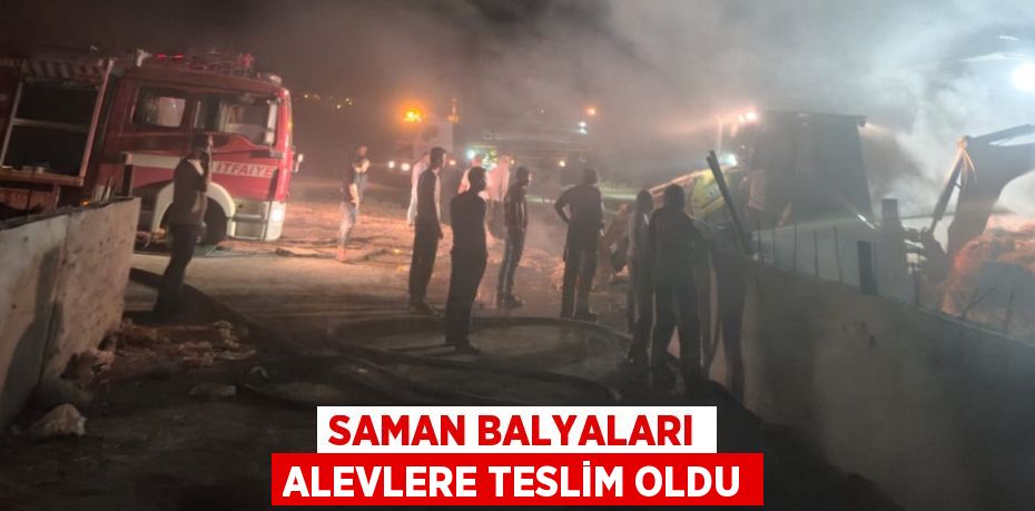 Saman balyaları alevlere teslim oldu