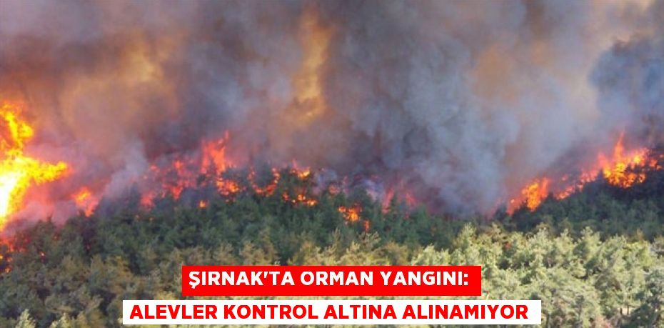 Şırnak’ta orman yangını: Alevler kontrol altına alınamıyor