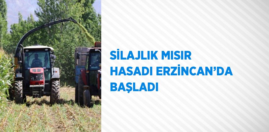 SİLAJLIK MISIR HASADI ERZİNCAN’DA BAŞLADI