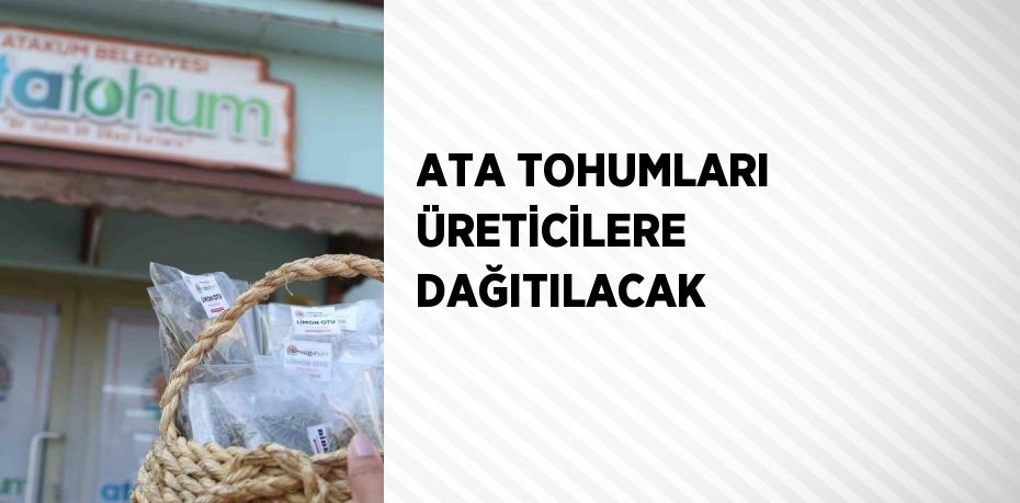 ATA TOHUMLARI ÜRETİCİLERE DAĞITILACAK