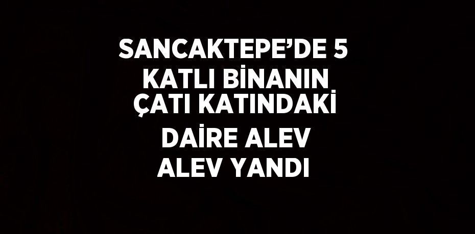 SANCAKTEPE’DE 5 KATLI BİNANIN ÇATI KATINDAKİ DAİRE ALEV ALEV YANDI