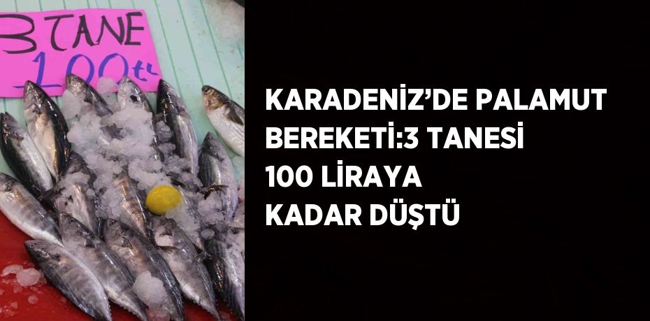 KARADENİZ’DE PALAMUT BEREKETİ:3 TANESİ 100 LİRAYA KADAR DÜŞTÜ