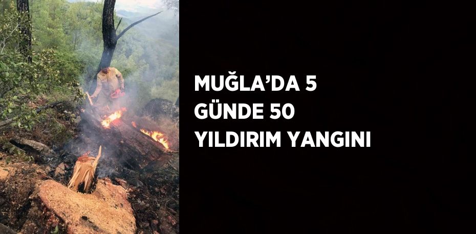 MUĞLA’DA 5 GÜNDE 50 YILDIRIM YANGINI